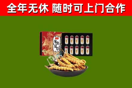 温州市回收冬虫夏草价格