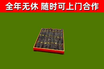 温州市回收海参